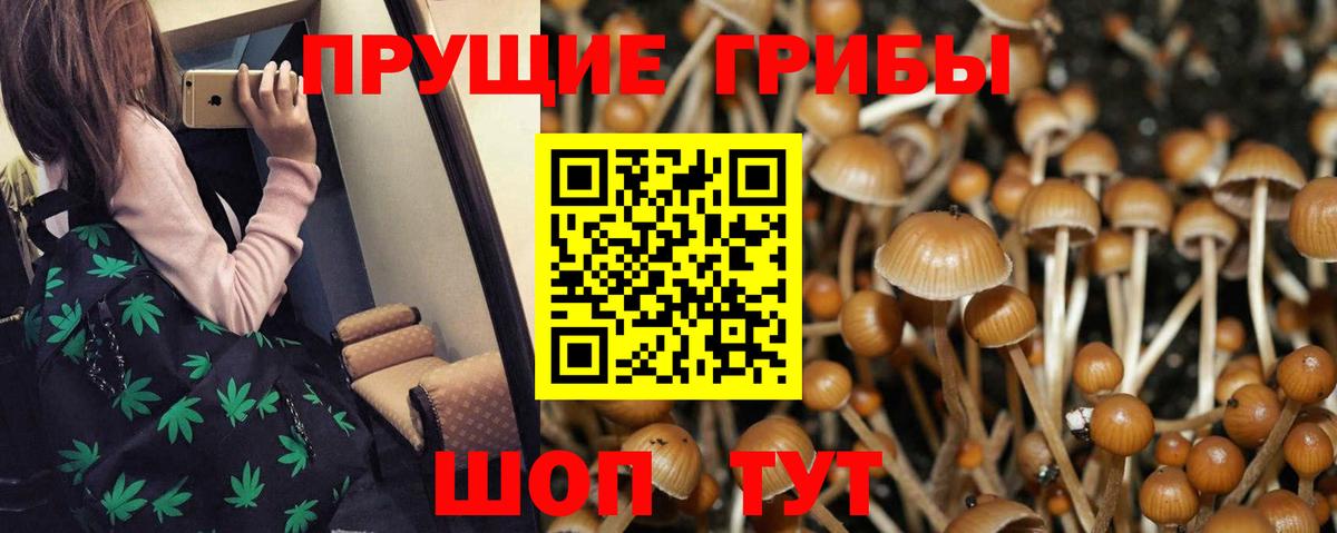 Галлюциногенные грибы Magic Shrooms Муром